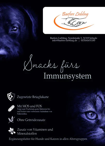 Funktionssnack Immunsystem 70g