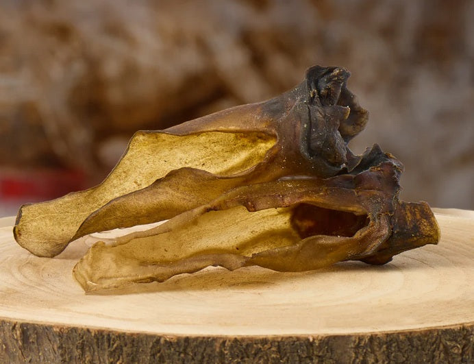 Rehohr getrocknet
